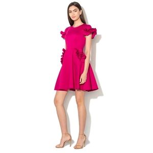 Ted Baker Dress | Ruffle Detail Skater Dress